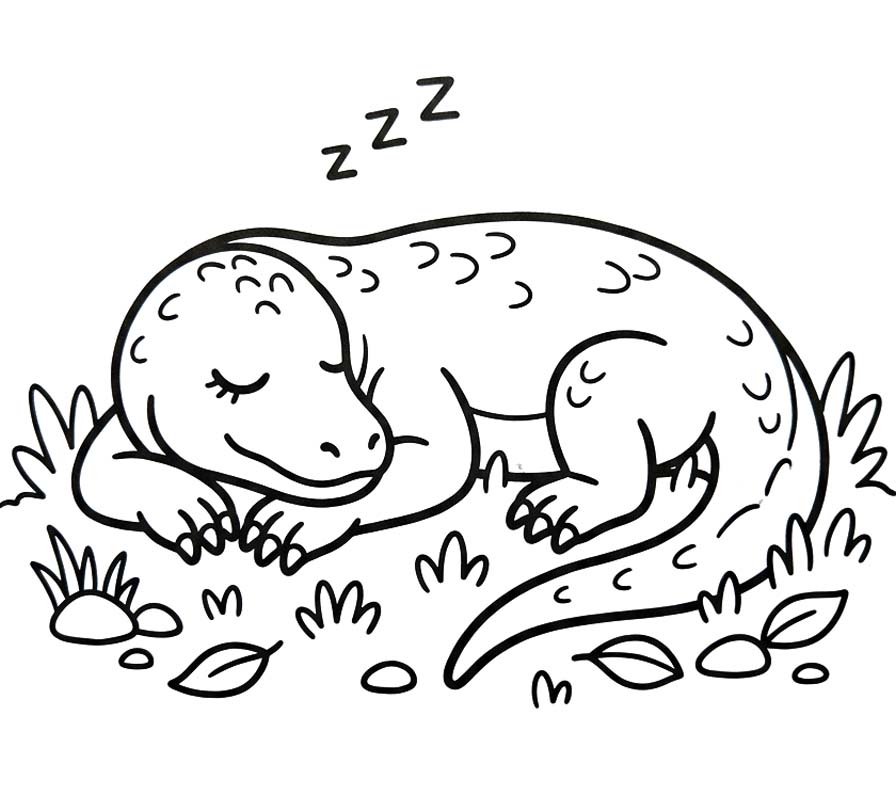 Komodo Ejderi Kolay Boyama Sayfası