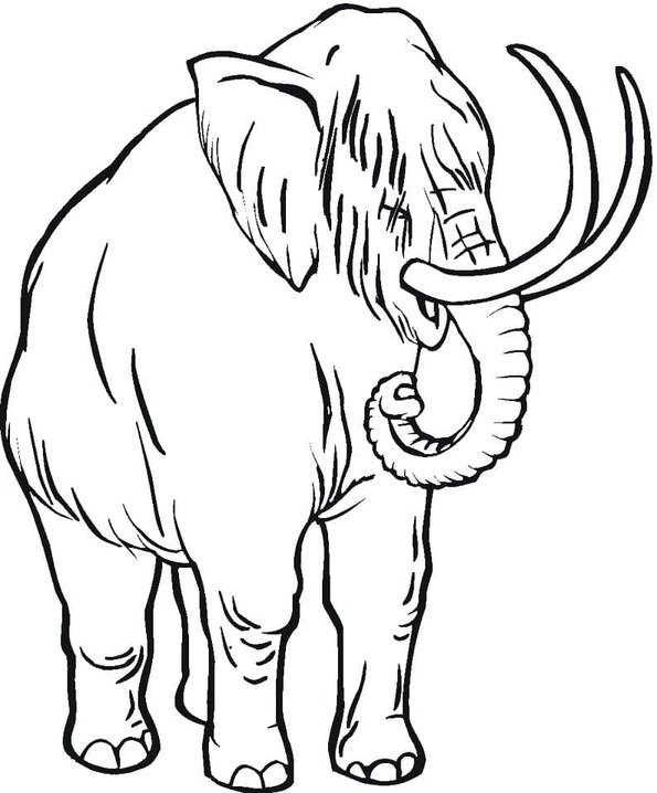 Mamut çizimi Boyama Sayfası