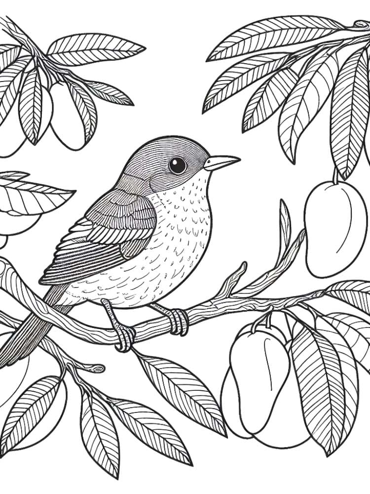 Mango Ücretsiz Boyama Sayfası