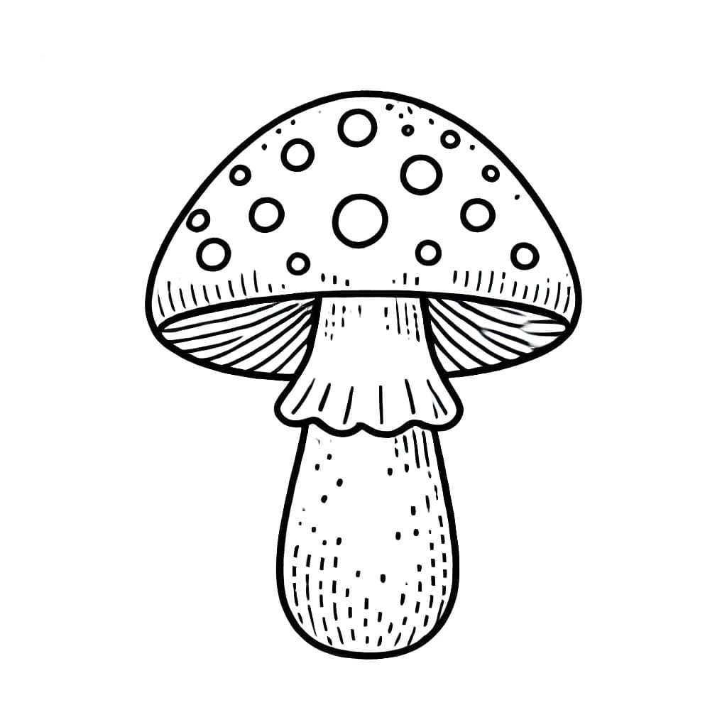 Mantar Ücretsiz Boyama Sayfası