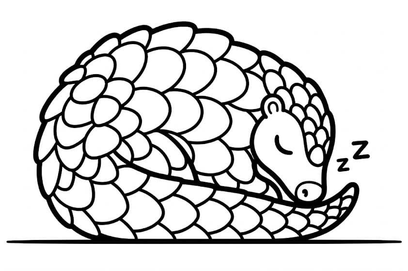 Pangolin Kolay Boyama Sayfası