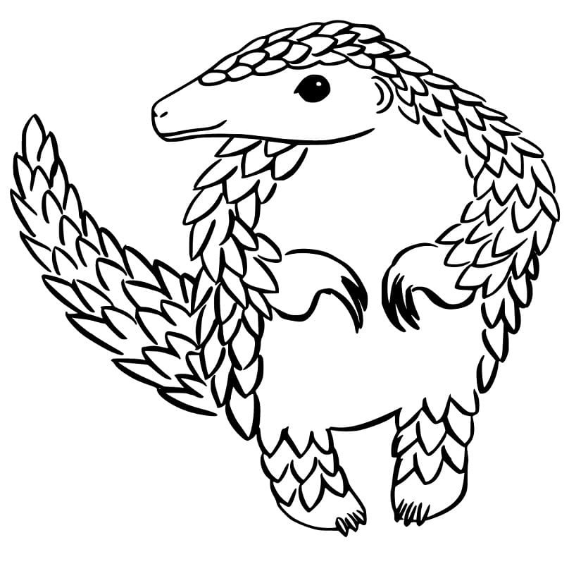 Pangolin temel Boyama Sayfası
