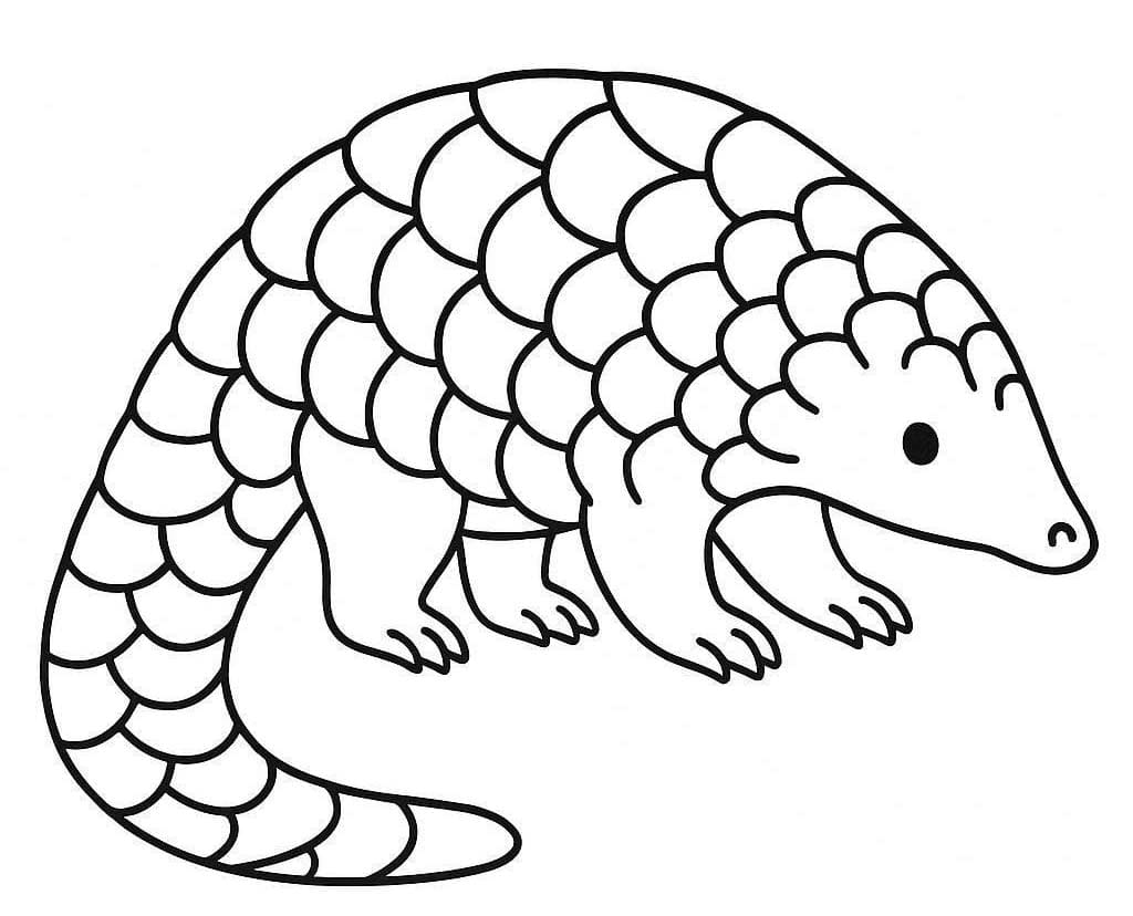 Pangolin yazdırılabilir Boyama Sayfası