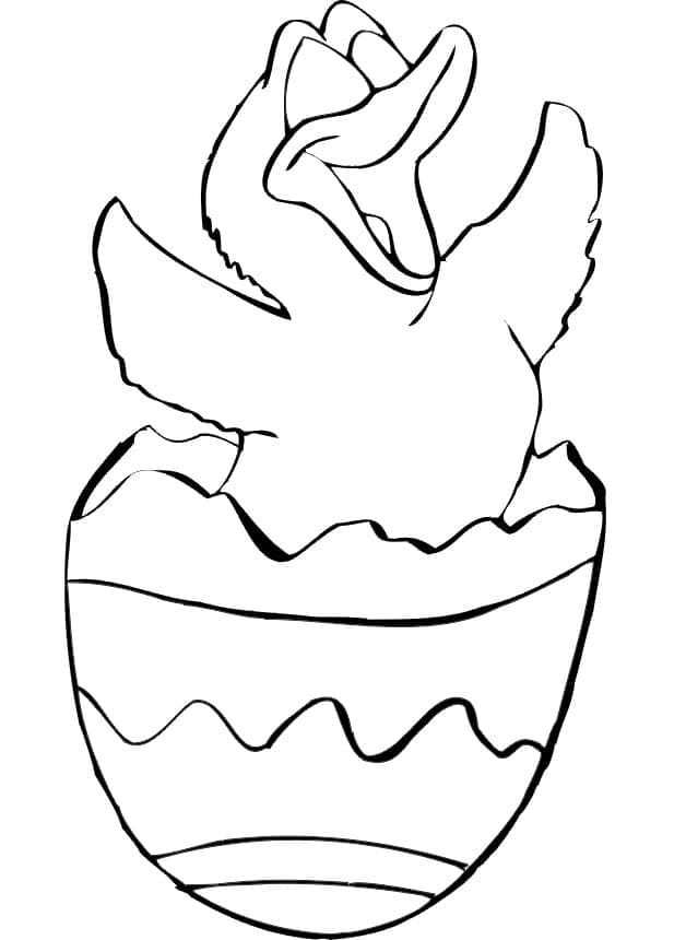 Paskalya Civcivi 4 Boyama Sayfası