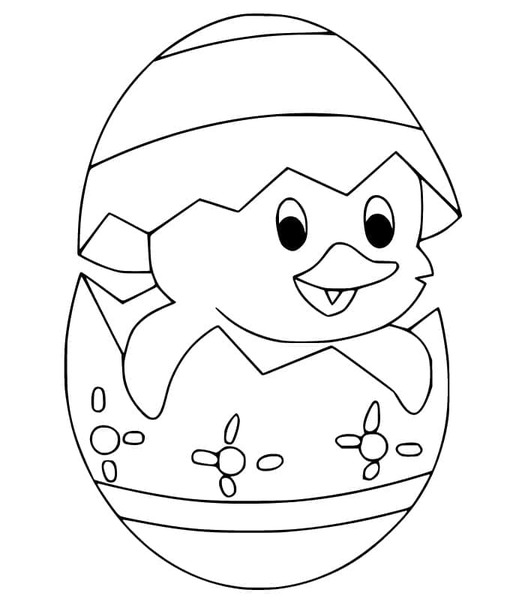 Paskalya Civcivi 6 Boyama Sayfası