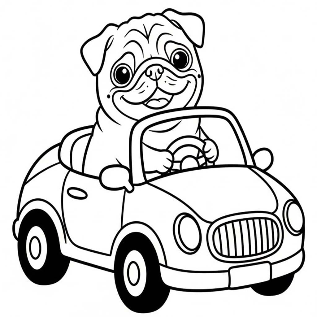 Pug Köpeği araba sürmek Boyama Sayfası
