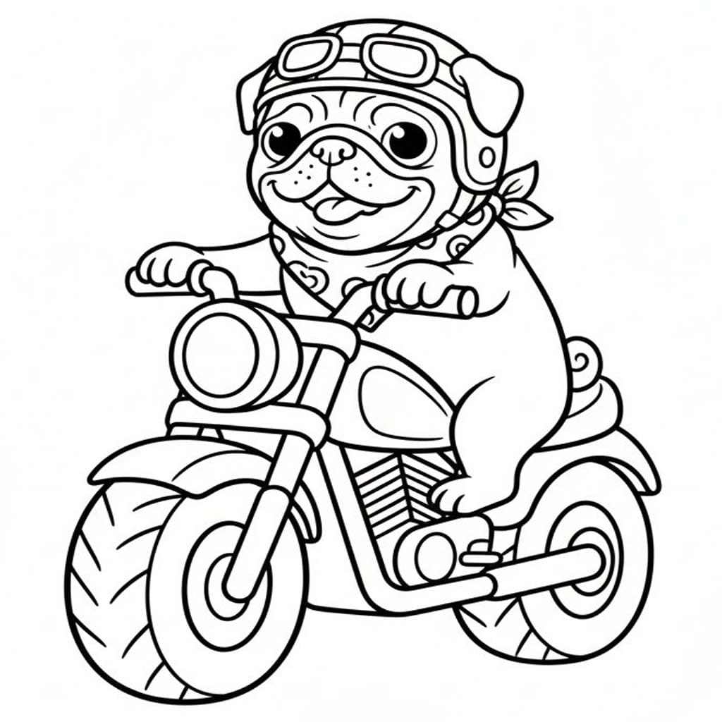Pug Köpeği motosiklet sürmek Boyama Sayfası