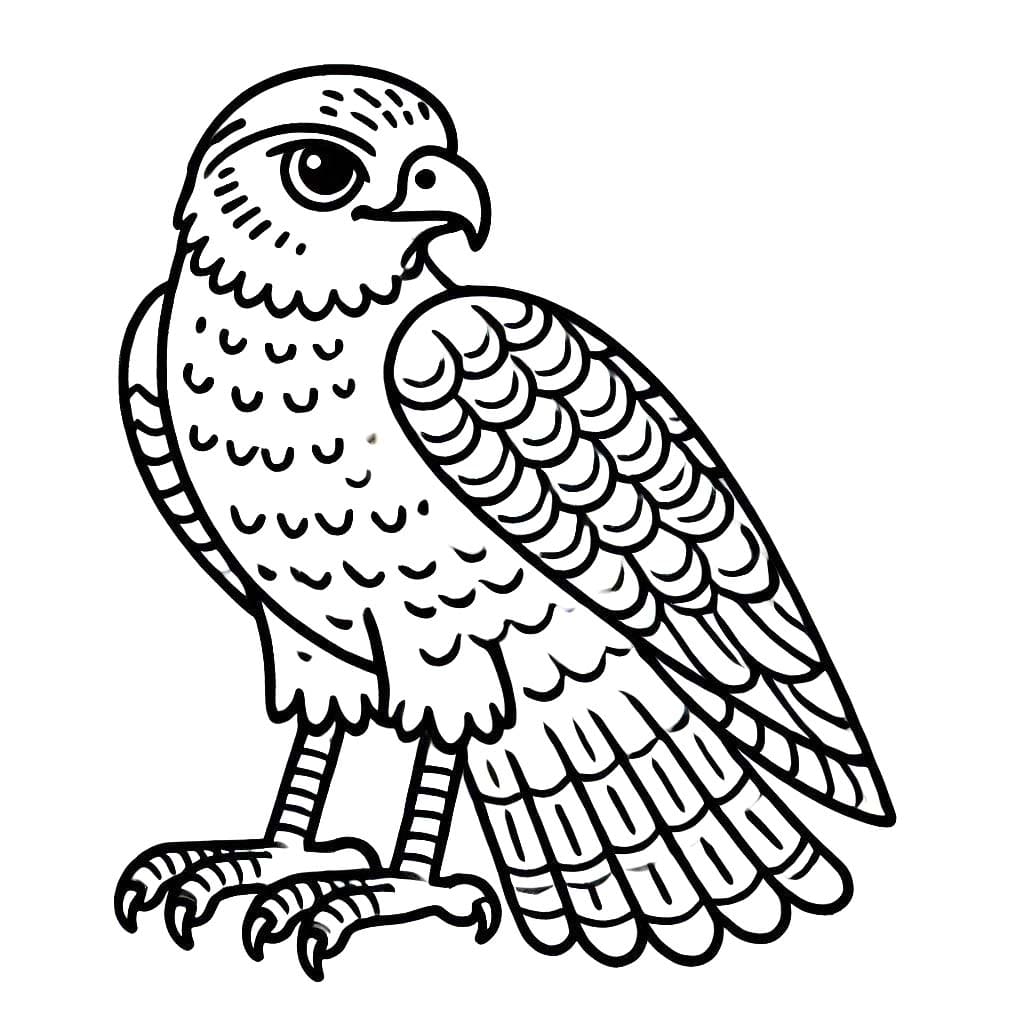 Şahin 1 Boyama Sayfası