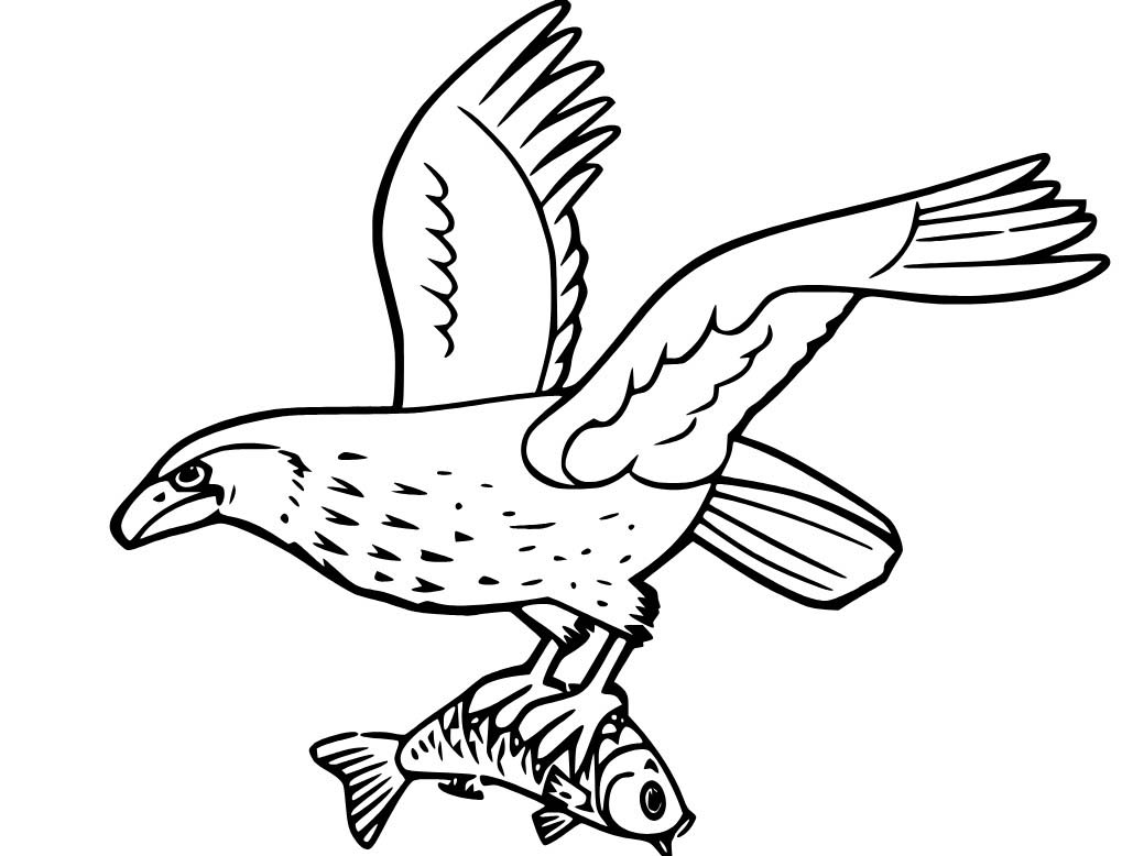 Şahin Avı Balık Boyama Sayfası