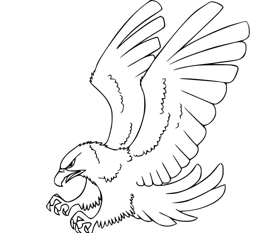 Şahin Avlanmaya Hazırlanıyor Boyama Sayfası