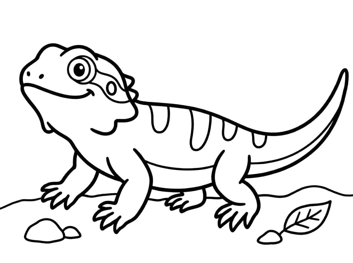 Sakallı Ejderha Basit Boyama Sayfası