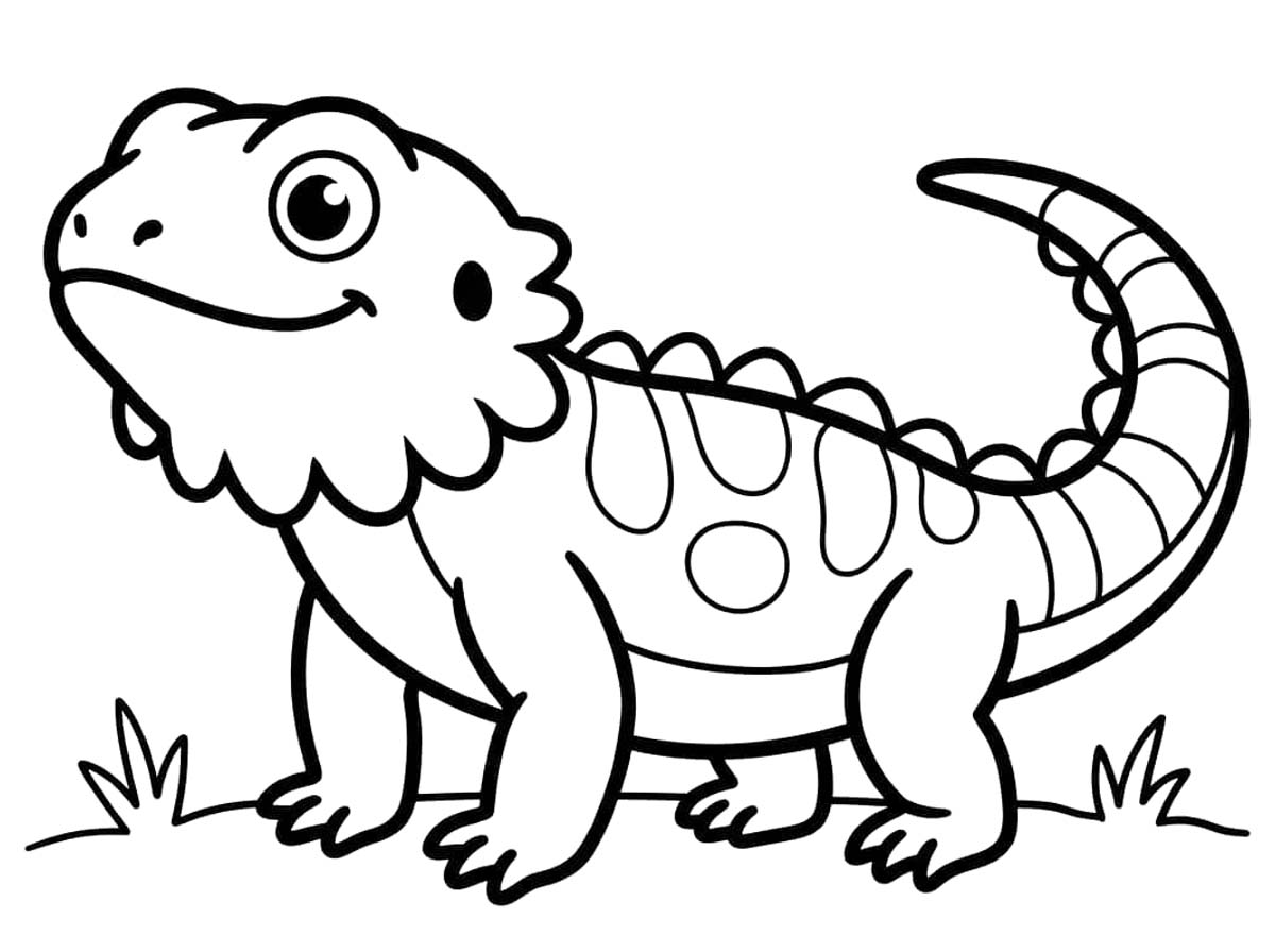 Sakallı Ejderha Çizim Boyama Sayfası