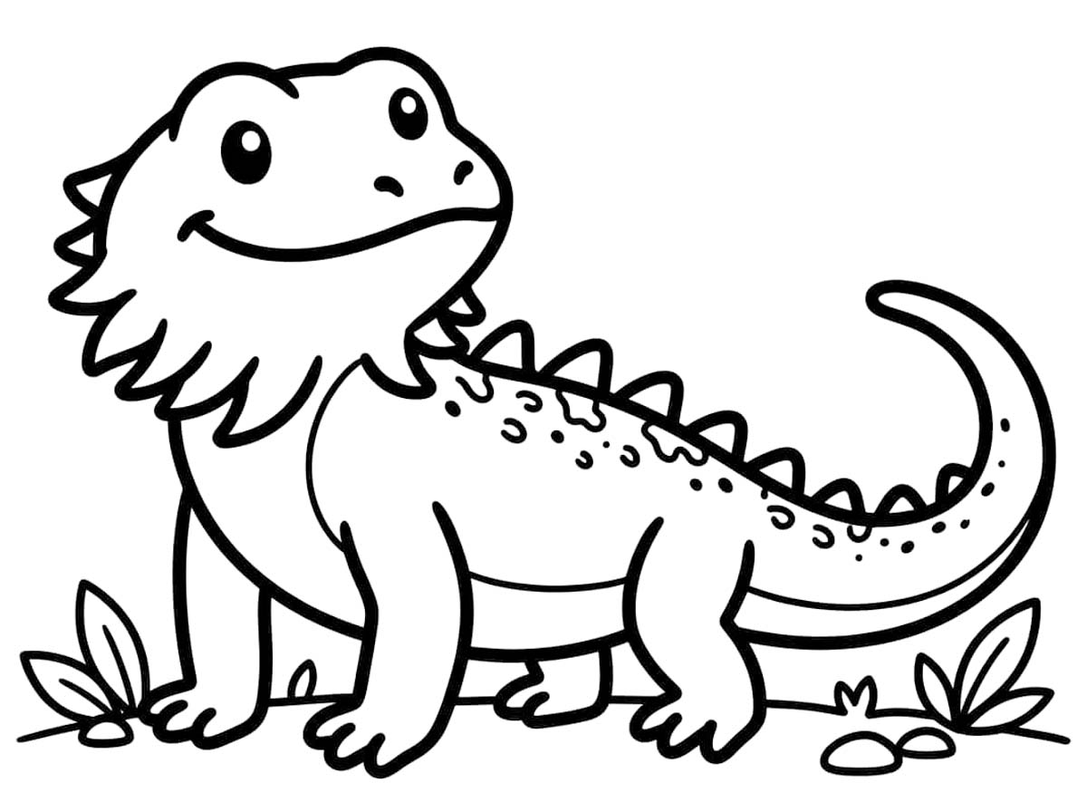 Sakallı Ejderha Temel Boyama Sayfası