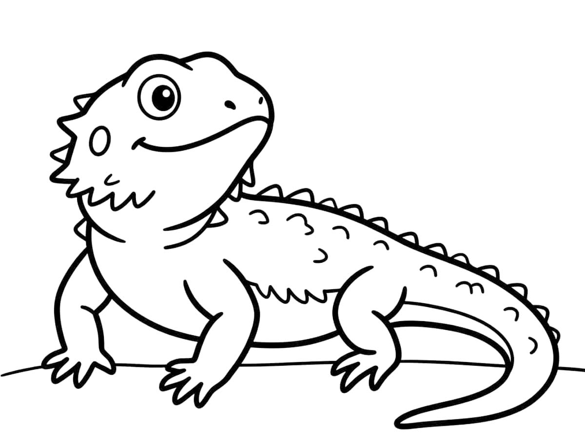 Sakallı Ejderha ücretsiz yazdırılabilir Boyama Sayfası