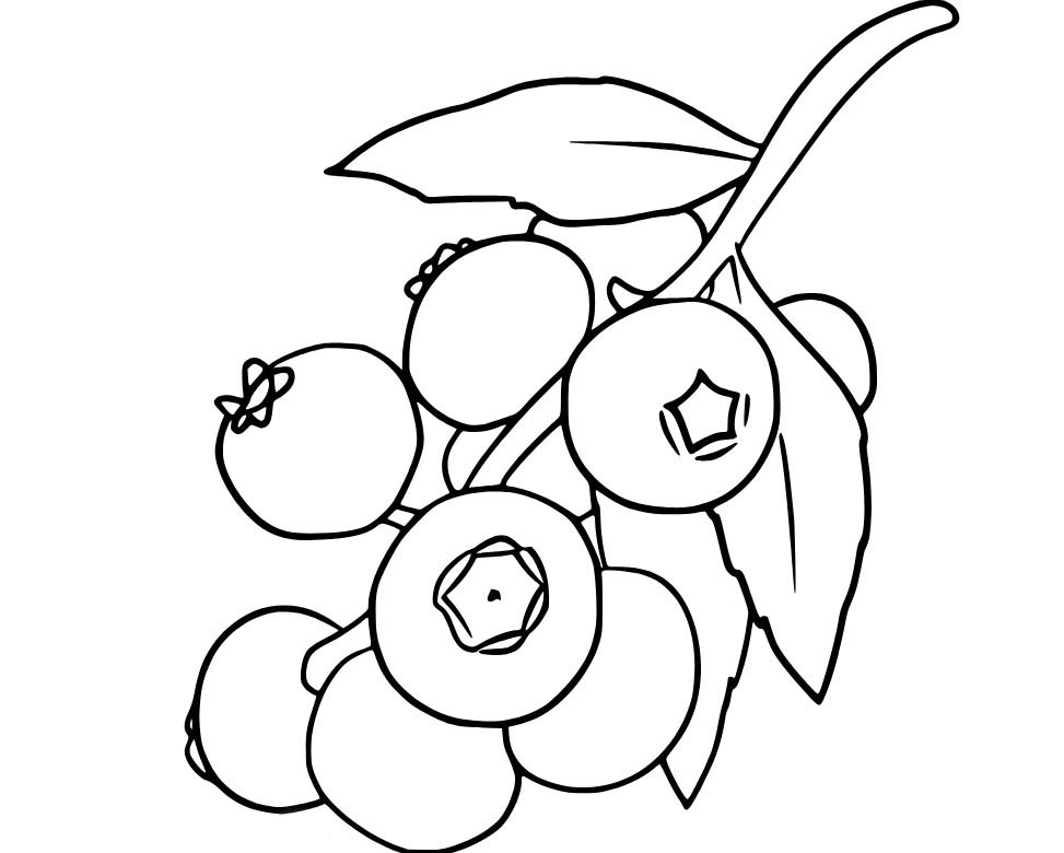 Sekiz Yaban Mersini Boyama Sayfası