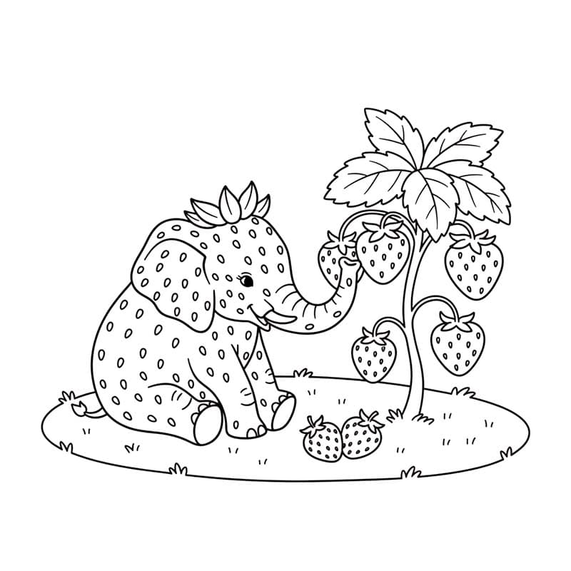 Strawberry Elephant Kolay Boyama Sayfası