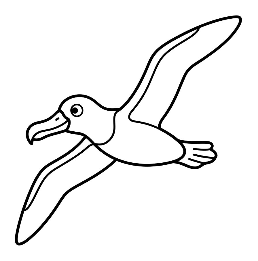 Temel Albatros Boyama Sayfası