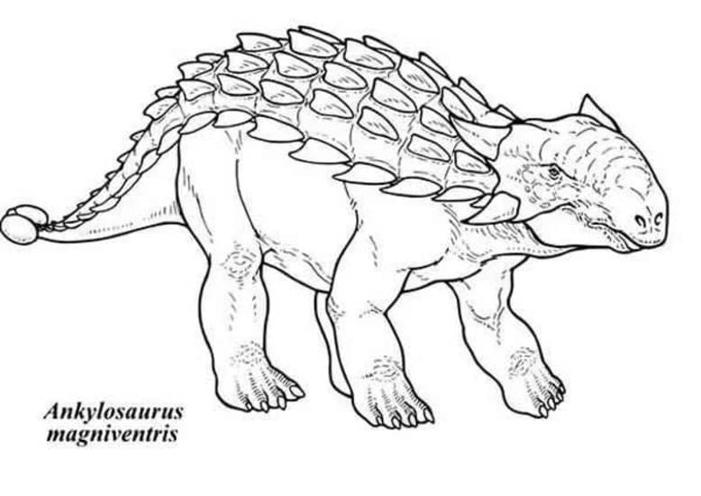 Temel Ankylosaurus Çizim Boyama Sayfası