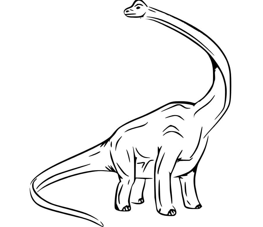 Temel Brachiosaurus Çizim Boyama Sayfası