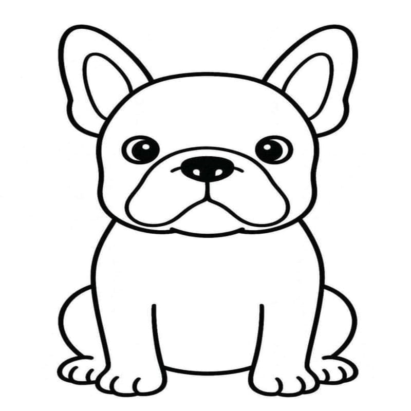 Temel Fransız Bulldog resim Boyama Sayfası