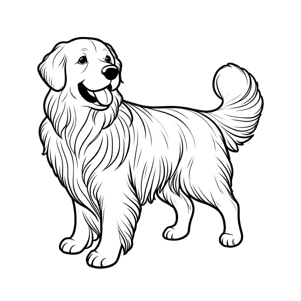 Temel Golden Retriever resim Boyama Sayfası