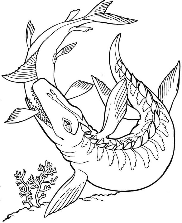 Temel Mosasaurus resim Boyama Sayfası