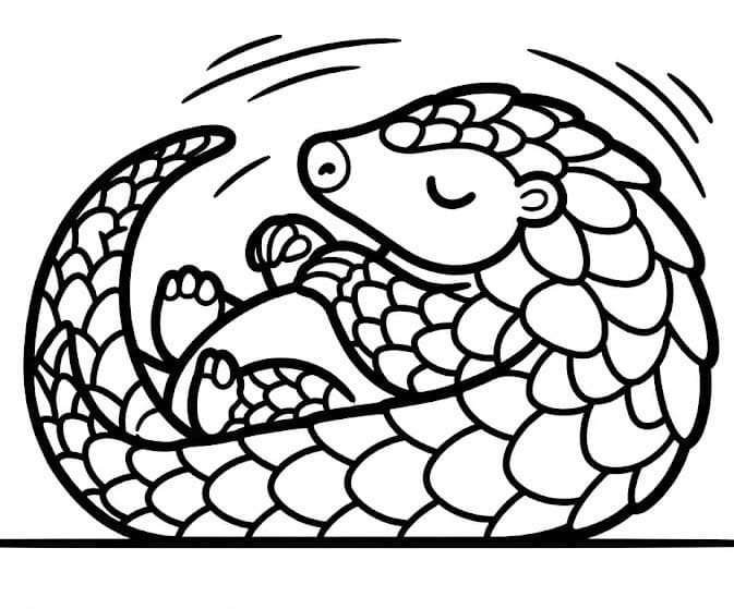 Temel Pangolin Çizim Boyama Sayfası