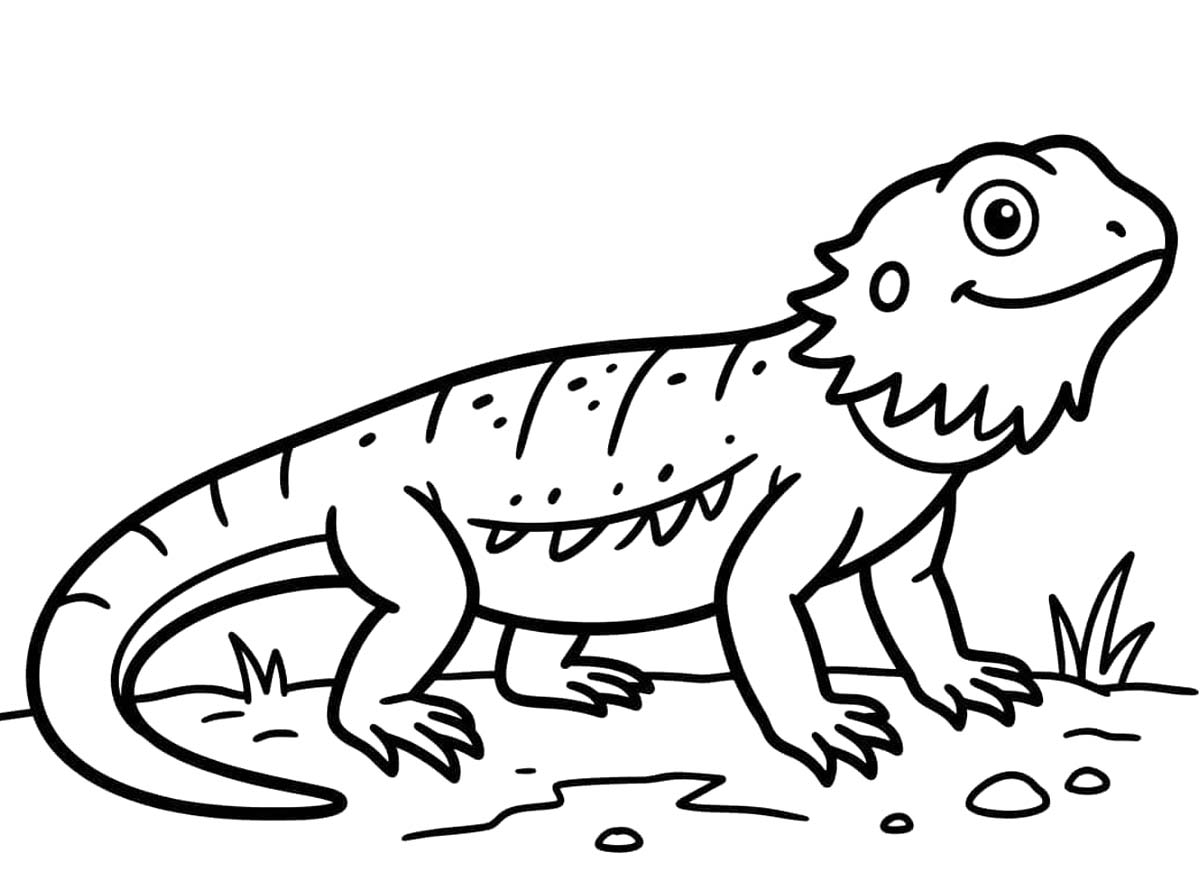 Temel Sakallı Ejderha Çizim Boyama Sayfası