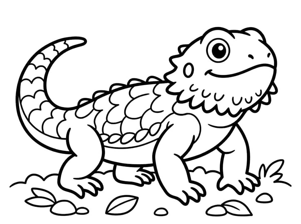 Temel Sakallı Ejderha resim Boyama Sayfası