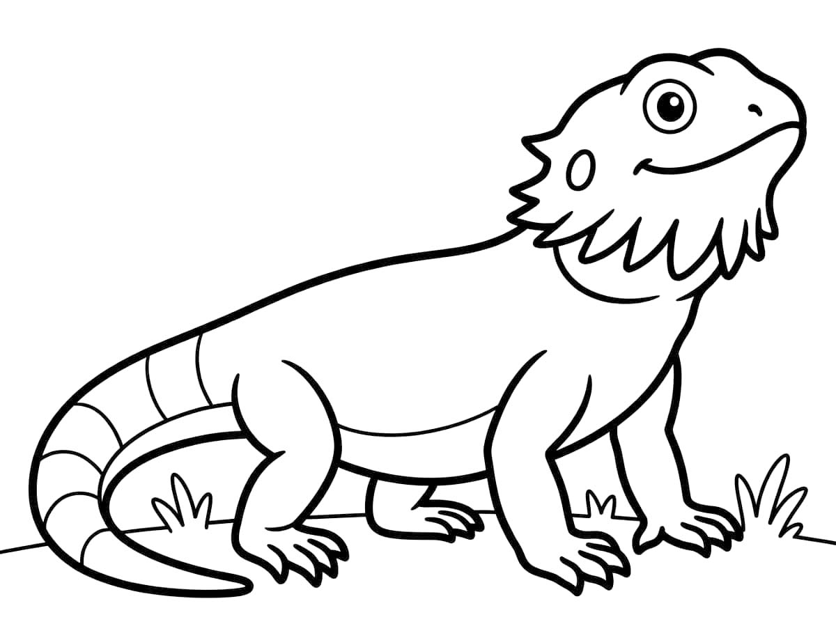 Temel Sakallı Ejderha Boyama Sayfası