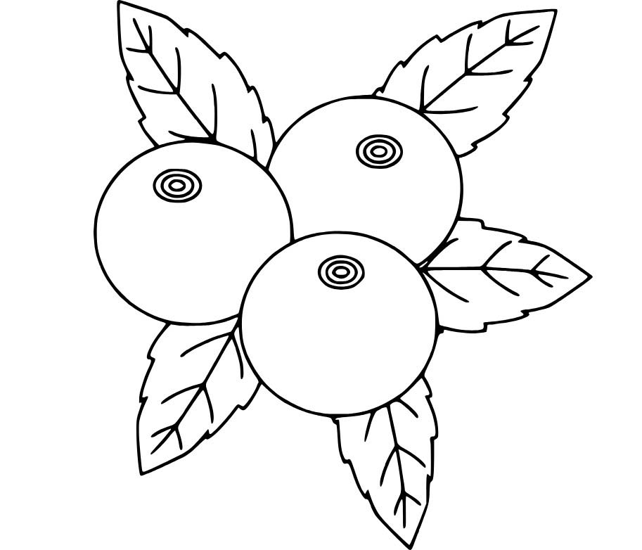 Üç Basit Yaban Mersini Boyama Sayfası