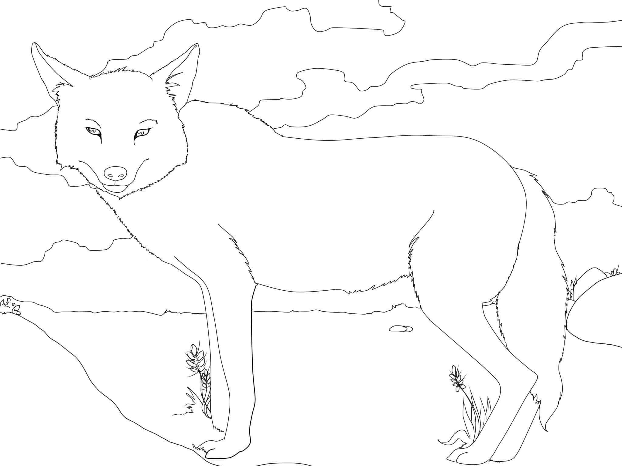 Ücretsiz Çakal Boyama Sayfası
