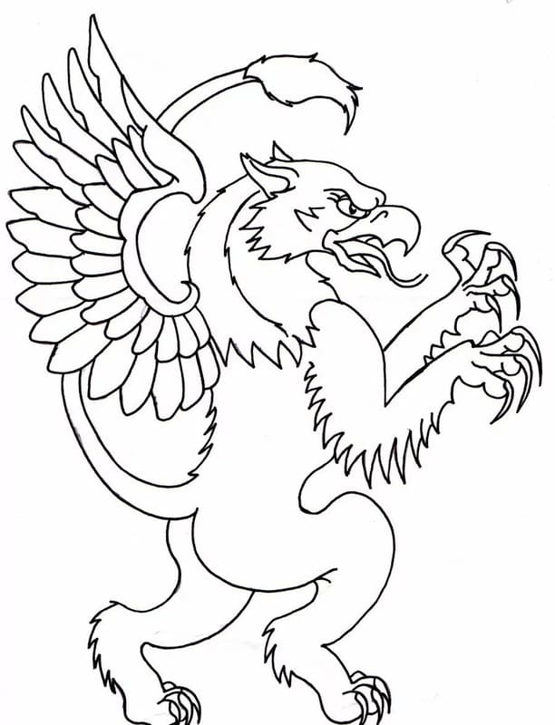 Ücretsiz Griffon Çizim Boyama Sayfası