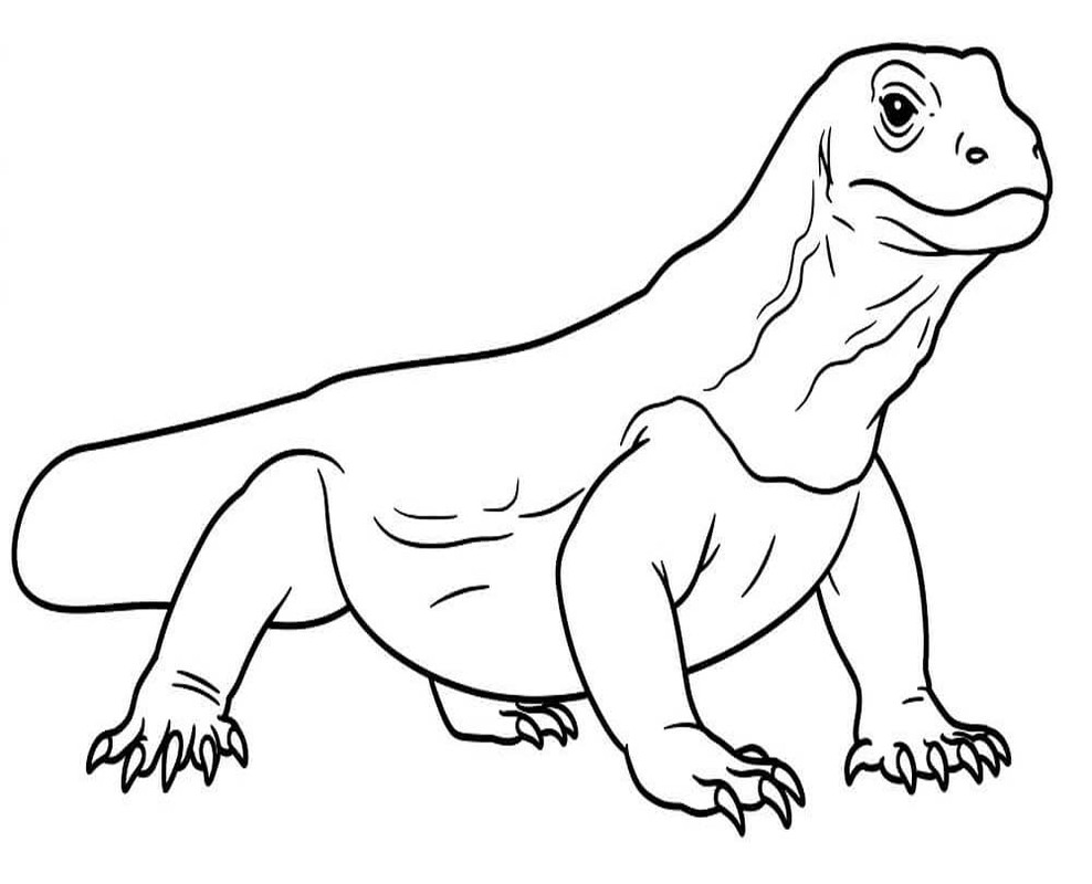 Ücretsiz Komodo Ejderi resim Boyama Sayfası