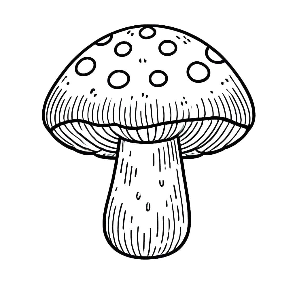 Ücretsiz Mantar Boyama Sayfası