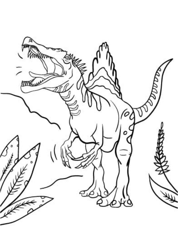 Ücretsiz Spinosaurus Boyama Sayfası