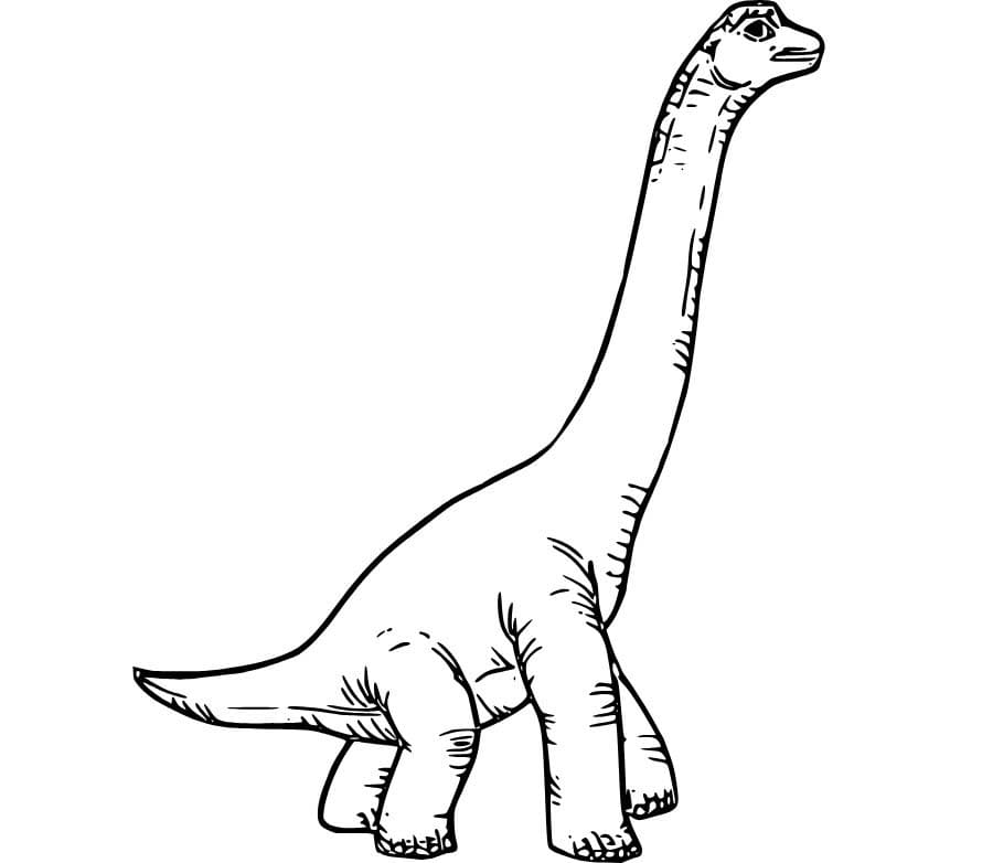 Ücretsiz Yazdırılabilir Brachiosaurus Çizim Boyama Sayfası