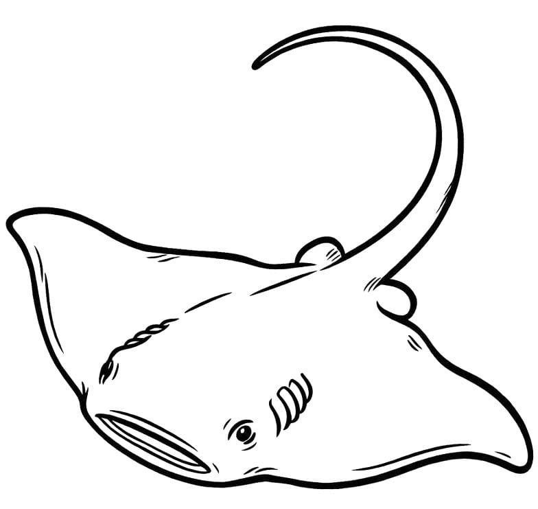 Vatoz çocuklar için yazdırılabilir Boyama Sayfası