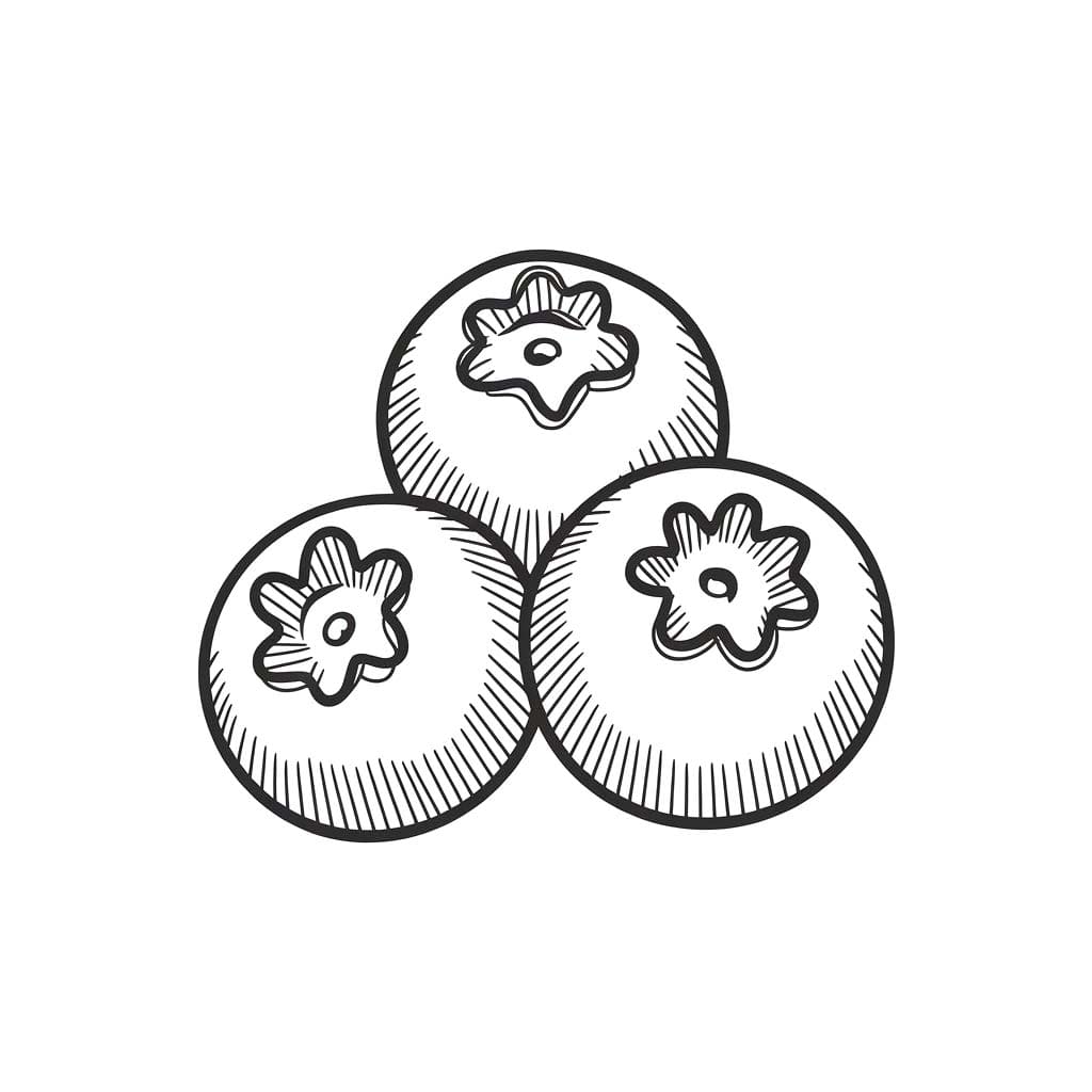 Yaban Mersini 1 Boyama Sayfası