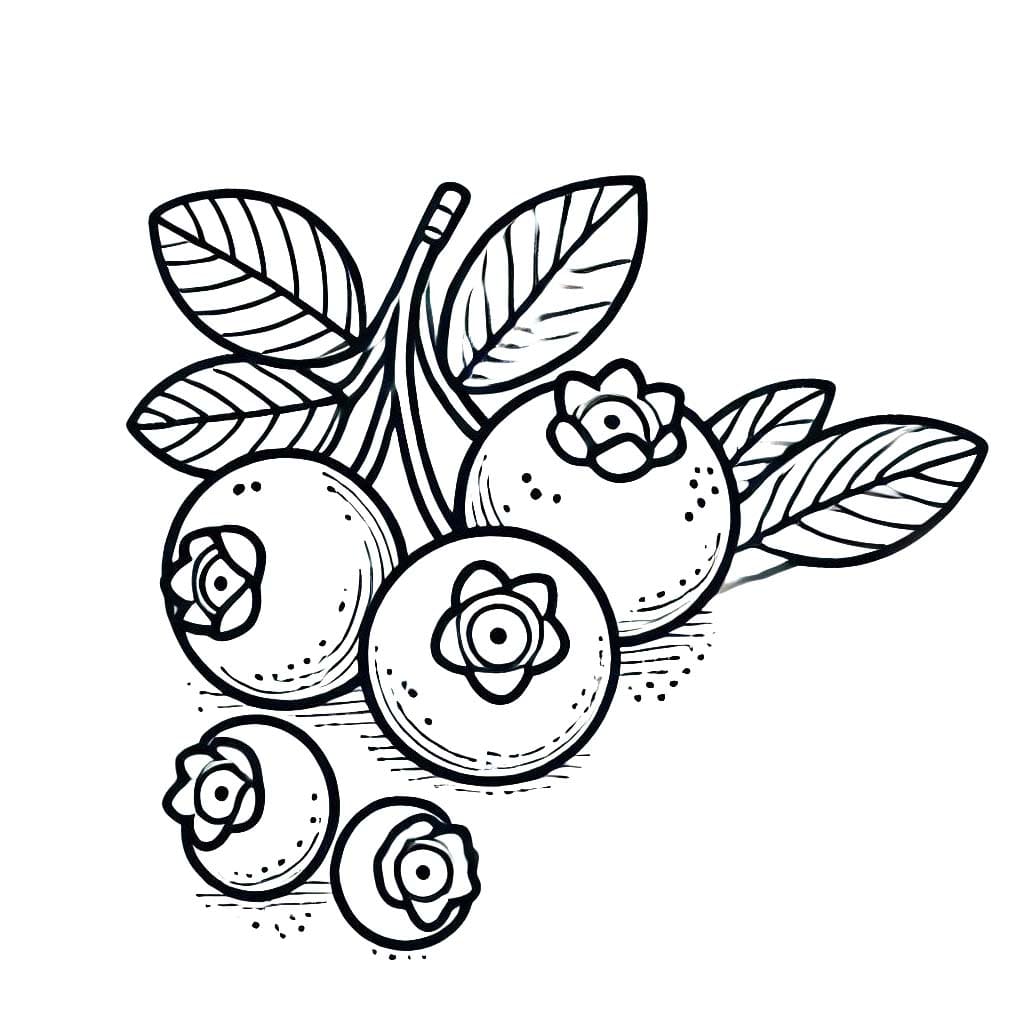 Yaban Mersini 10 Boyama Sayfası