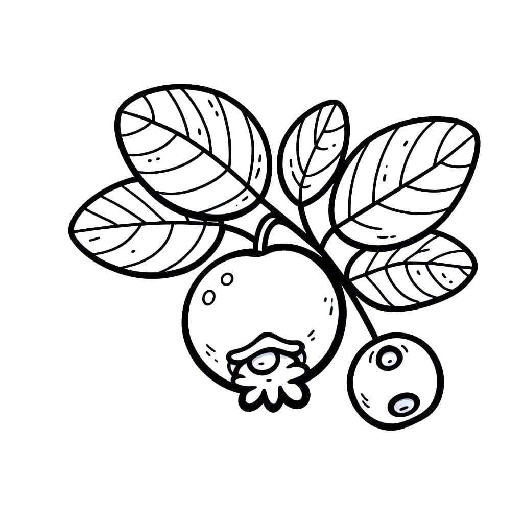 Yaban Mersini 11 Boyama Sayfası