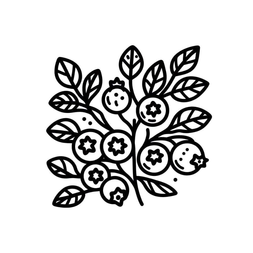 Yaban Mersini 12 Boyama Sayfası