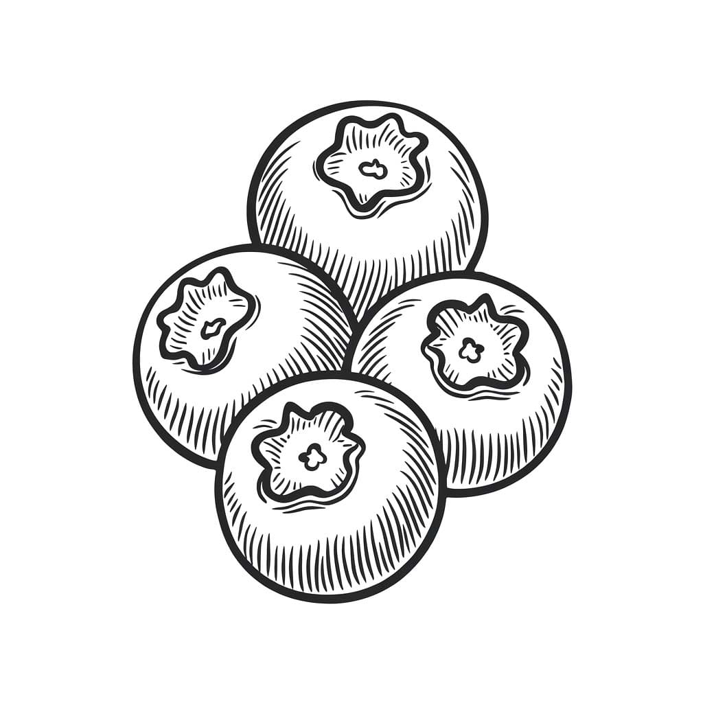 Yaban Mersini 2 Boyama Sayfası