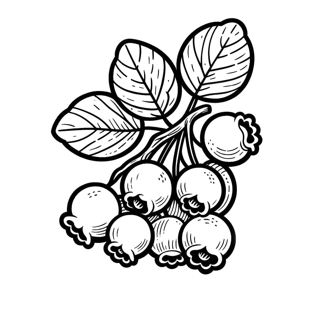 Yaban Mersini 3 Boyama Sayfası