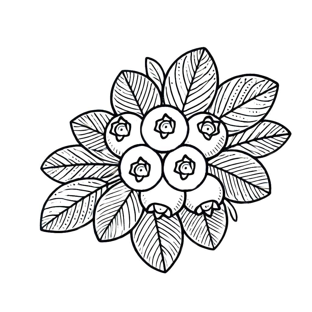 Yaban Mersini 5 Boyama Sayfası