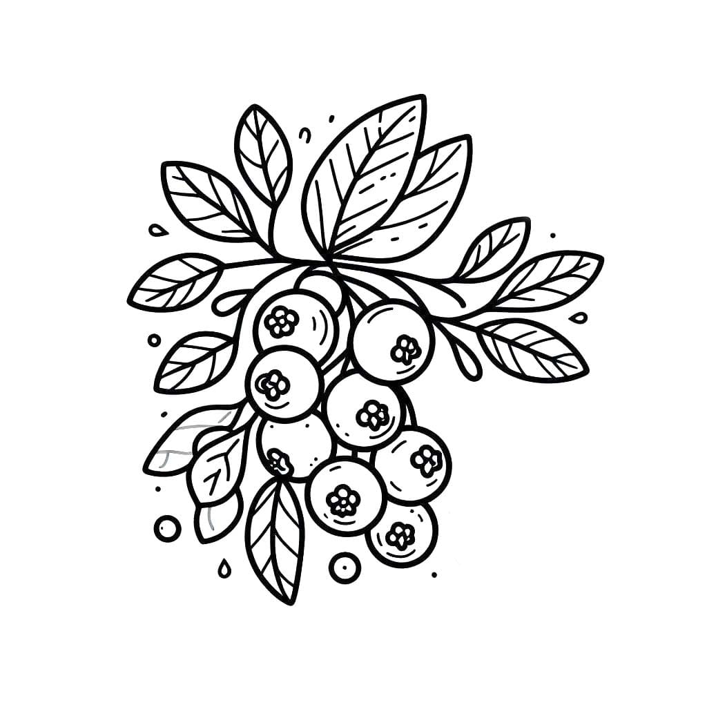 Yaban Mersini 6 Boyama Sayfası