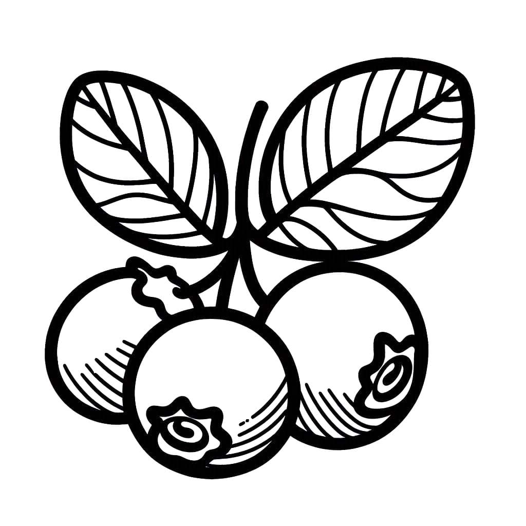 Yaban Mersini 8 Boyama Sayfası