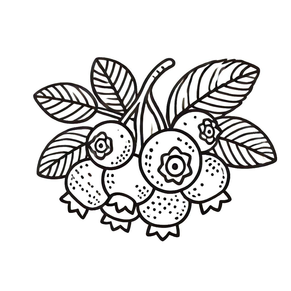 Yaban Mersini 9 Boyama Sayfası