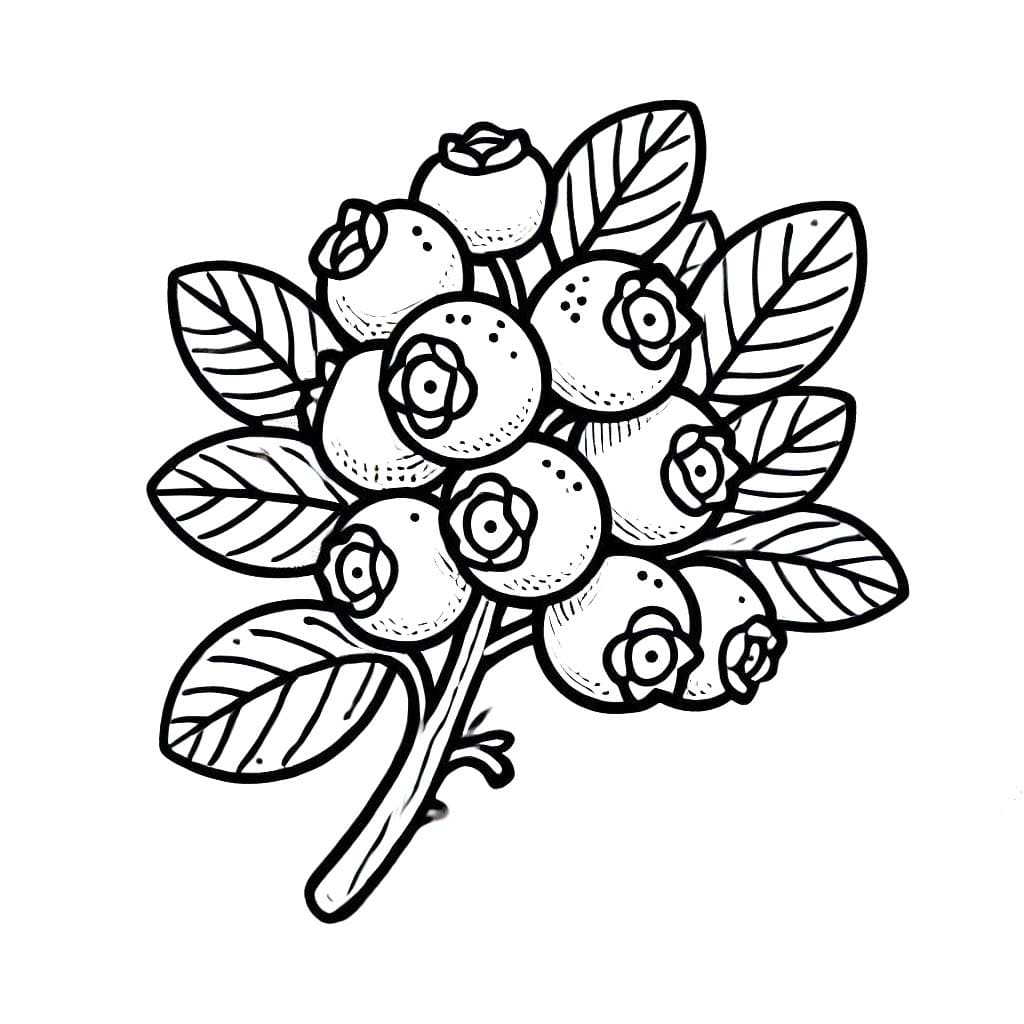 Yaban mersini çiz iyi Boyama Sayfası