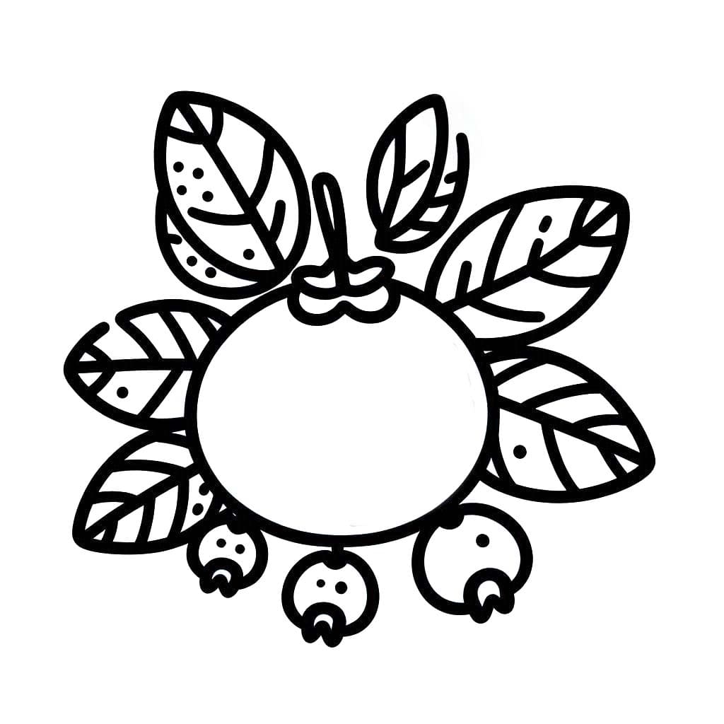 Yaban mersini çizimi basit Boyama Sayfası